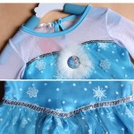 Elsa Costume Dress B