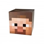 Minecraft Steve Head US1 (Fits 10Y to Adult)